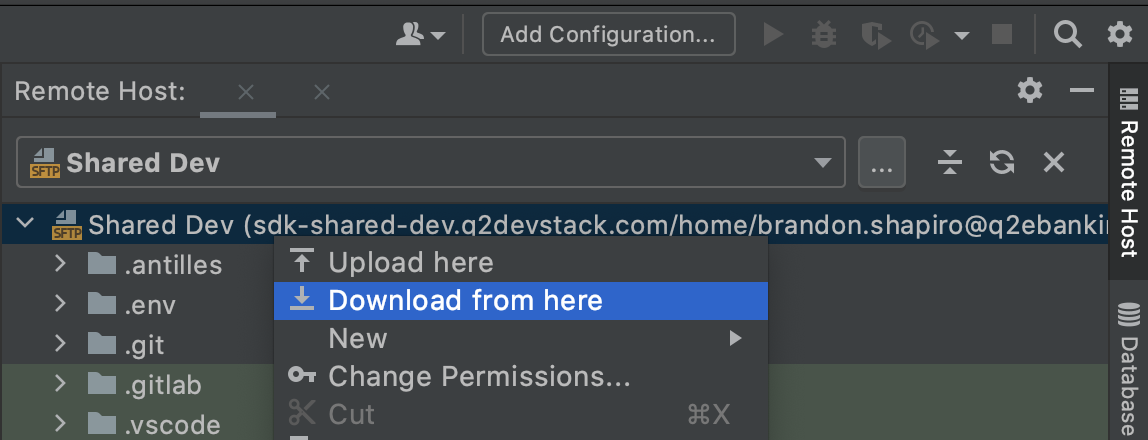 ../../_images/pycharm-download-remote.png